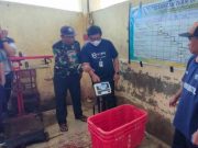 Jateng Jadi Pilot Project E-TPI di Indonesia, Nelayan dan Bakul Siap Go Digital
