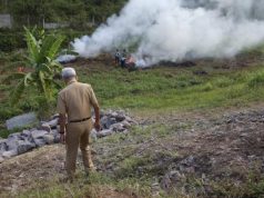 Cerita Ganjar Turun di Tol Matikan Api dari Rumput, Tanggapi Soal Laka di Pemalang