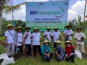Bank BRI Bantu 450 Bibit Alpukat di Desa BRIlian Gadingrejo Kepil