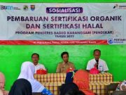 Gula Semut Organik Khas Cilacap Go International, CSR Pertamina Dorong Petani Sertifikasi Produk