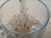 Tujuh Khasiat Lotus Root Powder Bagi Kesehatan