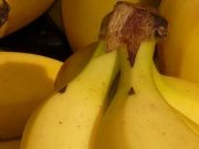 Empat Fakta Menarik Pisang Dengan Bintik Hitam yang Kaya akan Nutrisi
