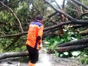 Bencana Angin Kencang Disertai Hujan Lebat Terjadi Lagi di Wonogiri
