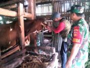 Vaksinasi PMK di Wonogiri Targetnya Sebanyak 120 Ribu Dosis