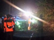 Wonogiri-Ponorogo Terhalang Pohon, Ini yang Dilakukan BPBD Wonogiri