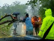 Hujan Angin, Wonogiri-Pacitan Macet Terhalang Pohon Tumbang Melintang Jalan