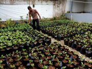 Ini Kisah Polisi di Kebumen Sukses Bertani dan Beternak Sapi
