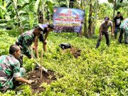 Penghijauan Sambut HUT Ke-77 TNI dan HUT Ke-72 Kodam IV Diponegoro