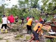 Angin Kencang Disertai Hujan Lebat Melanda Kecamatan Ngadirojo Wonogiri