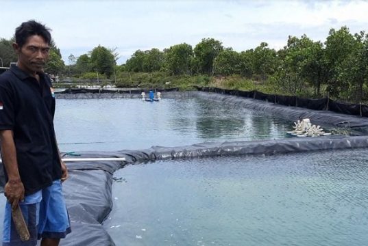 Setahun Terhenti, Petani Garam Siap Memproduksi Kembali