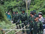 7 Jenderal BNN Pantau Pemusnahan Ladang Ganja