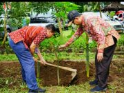Pemkab Magelang Dukung Penanaman 10 Juta Bibit Pohon