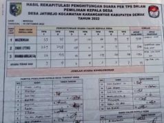Tokoh Muda Menang Pilkades Pimpin Desa Jatirejo Kecamatan Karanganyar Kabupaten Demak