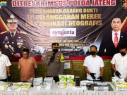 Ditreskrimsus Polda Jateng Musnahkan Ribuan Kilogram Barang Bukti Benih Jagung Palsu Merk “Syngeta”