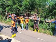 Pangkas Dahan Dekat Kabel Listrik, Cara Destana Peringati Sumpah Pemuda