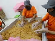 Kelebihan Berinvestasi di Jateng, Sumber Daya Melimpah