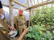 Pemprov Jateng Mulai Gerakkan Lumbung Pangan