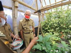 Pemprov Jateng Mulai Gerakkan Lumbung Pangan