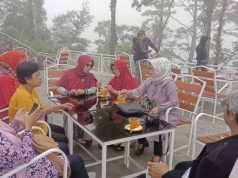 Puisi Widiyartono R dari Kabut Kayangan Sampai Terminal Tanjung Priuk