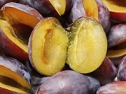 Dapat Turunkan Gula Darah, Lima Manfaat Buah Jamblang Bagi Kesehatan Tubuh