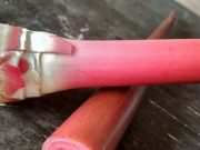 Selain Menjaga Kadar Gula Darah Tetap Stabil, Empat Manfaat Kecombrang Bagi Kesehatan