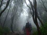 Enam Hari Mbah Ngarji Hilang di Hutan Damarwulan, Jejaknya Tetap Misterius