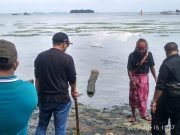 Soal Pencemaran Tambak Udang di Karimunjawa, Aktivis Lingkungan Tunggu Hasil Inspeksi Pj Bupati Jepara