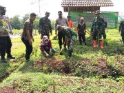 Penghijauan Massal TNI, di Jatisrono dan Karangtengah Wonogiri