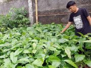Griya Amanah Gandeng LindungiHutan.Com HIjaukan Wonogiri