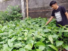 Griya Amanah Gandeng LindungiHutan.Com HIjaukan Wonogiri