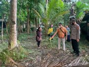 Jatuh dari Pohon, Pemetik Kelapa di Adimulyo Meninggal
