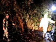 Bencana Longsor di Bulukerto dan Puting Beliung di Selogiri Wonogiri