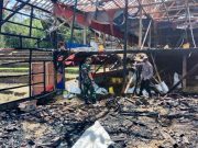 Kebakaran Kandang di Slogohimo Wonogiri, Ribuan Ayam Mati Terpanggang
