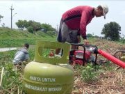 Menilik Konversi BBM ke Elpiji untuk Petani di Brebes