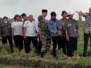 Ganjar Dorong Petani Bawang Brebes Beralih ke Pertanian Organik
