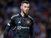 David de Gea Terkejut dengan Pesan Aneh Presiden Federasi Sepakbola Spanyol
