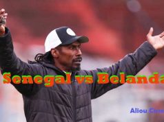 Prediksi Piala Dunia: Senegal vs Belanda