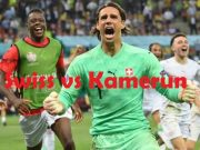 Prediksi Piala Dunia: Swiss vs Kamerun