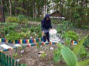IIKP Mantingan Kembangkan Tanaman Toga dan Tanaman Langka