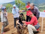 Vita Ervina Resmikan Kampung Alpokat di Desa Menjer Garung Wonosobo