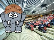 Gajah Diblangkoni