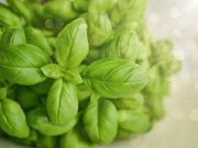 Dapat Mencegah Kanker, Tujuh Manfaat Daun Kemangi