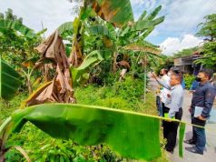 Perhutani Berupaya Selamatkan Tanah Negara Ternyata Mendapat Gugatan Warga