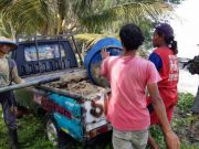 Pembukaan Tambak Udang Baru di Karimunjawa Dihentikan