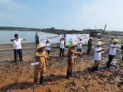 Serap Emisi 5,5 Juta ton CO2, PLN Tanam Lebih dari 1,47 Juta Pohon