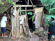 Terjadi Lagi Tindak Pidana Pencurian Sapi di Wonogiri