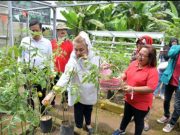 Kembangkan Wisata Agro, Mbak Ita Launching Kampoeng Flora Mijen