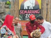 RANS Entertainment Akan Jalin Kolaborasi Bangun dan Ramaikan Kota Semarang di 2023