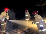 Damkar Wonogiri, 32 Kali Padamkan Api Tangkap Ular 39 ekor