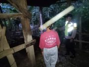 Terjadi Pencurian Sapi di Nguntoronadi Wonogiri